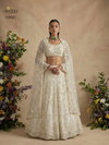 Alizeh 1082 Colours Butterfly Net Designer Lehenga Choli Exporters In India
